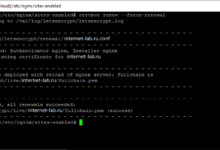 Photo of Установка SSL на сервер с помощью Certbot