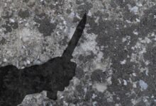 Photo of HTTPS: защита от межсайтового скриптинга