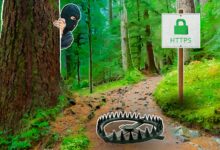 Photo of HTTPS: обязательное требование для сайтов