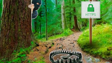 Photo of HTTPS: обязательное требование для сайтов