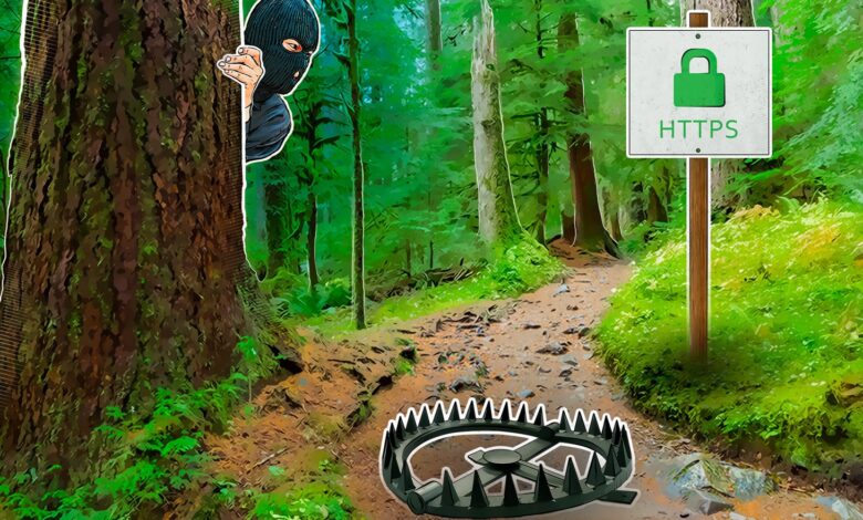 Photo of HTTPS: обязательное требование для сайтов